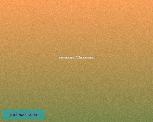 美加墨三国联合主办世界杯2026赛程展望与赛事亮点解析